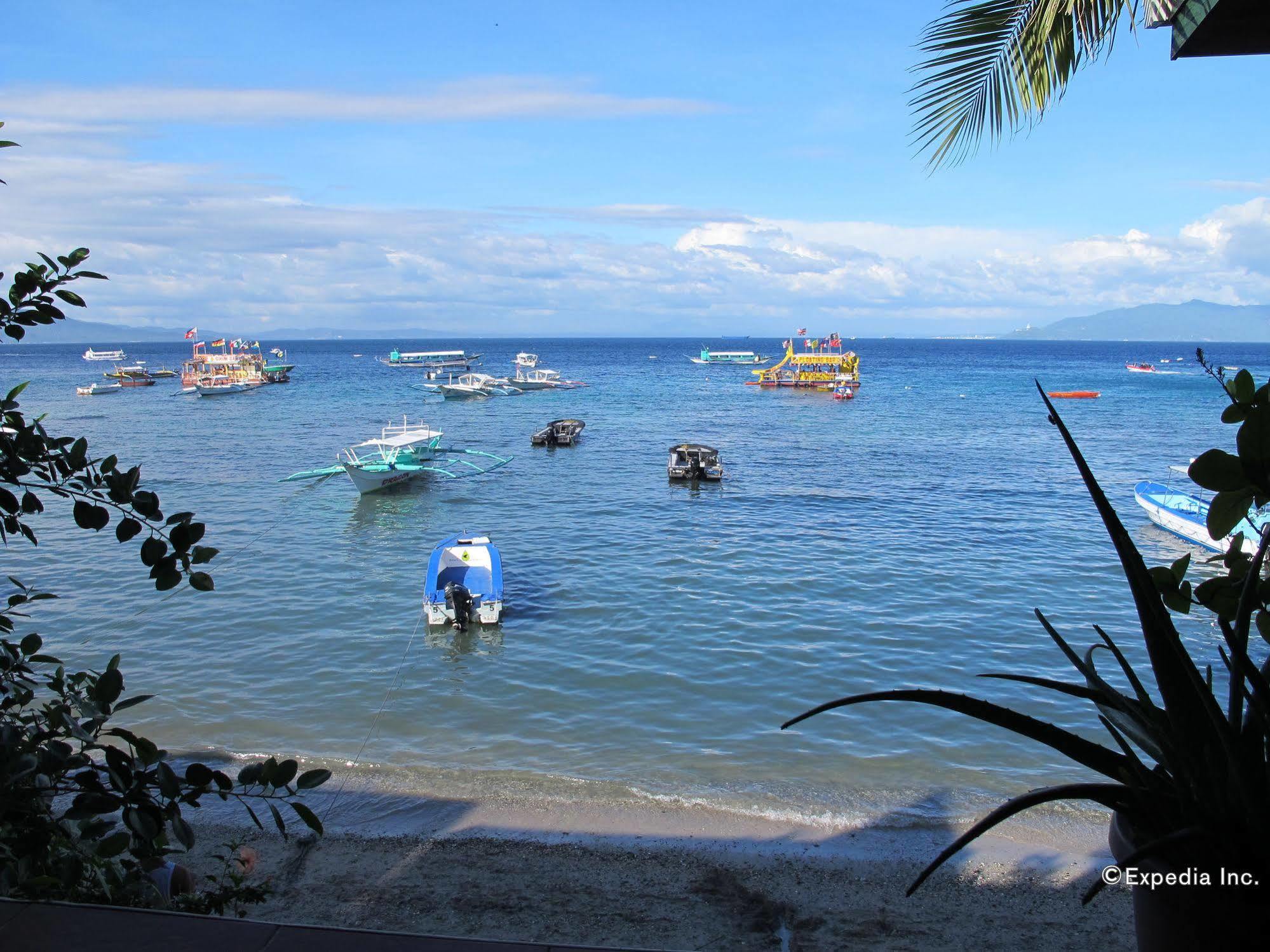 Captngreggs Dive Resort Puerto Galera Esterno foto